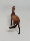 AMY DUN-LE-10 CM APRICOT DUN WARMBLOOD CHIP LHS 18