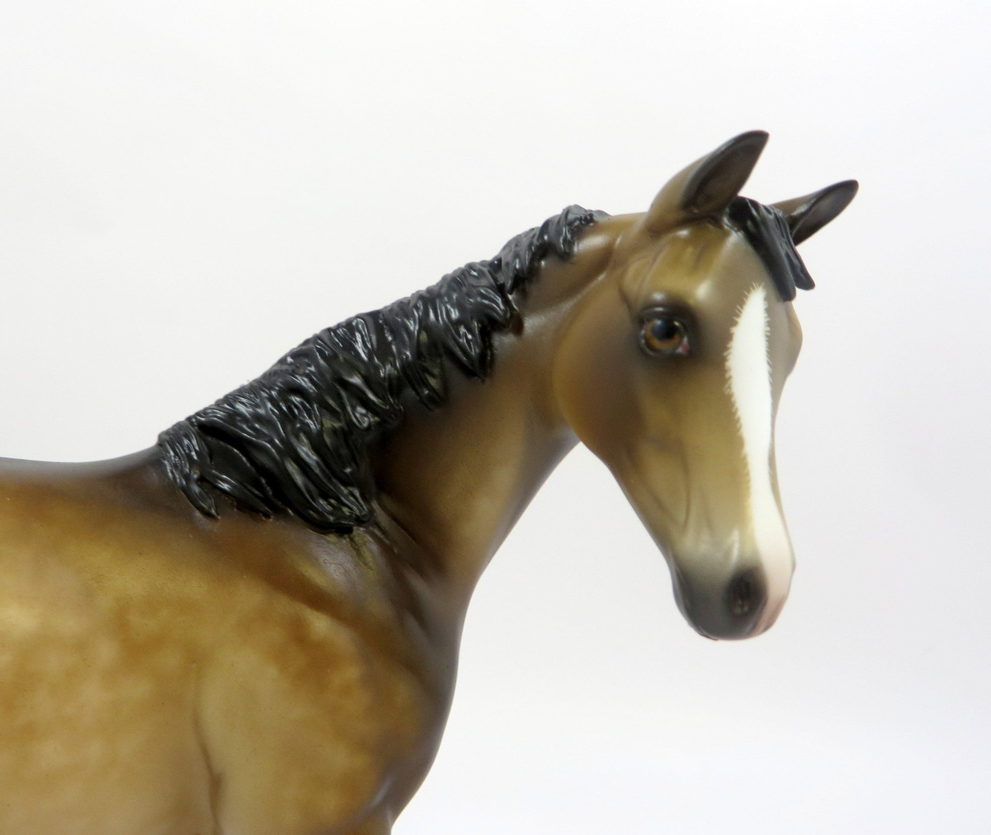 TIFFANY -- OOAK DAPPLED BUCKSKIN WEANLING BY SHERYL LEISURE 6/7/19