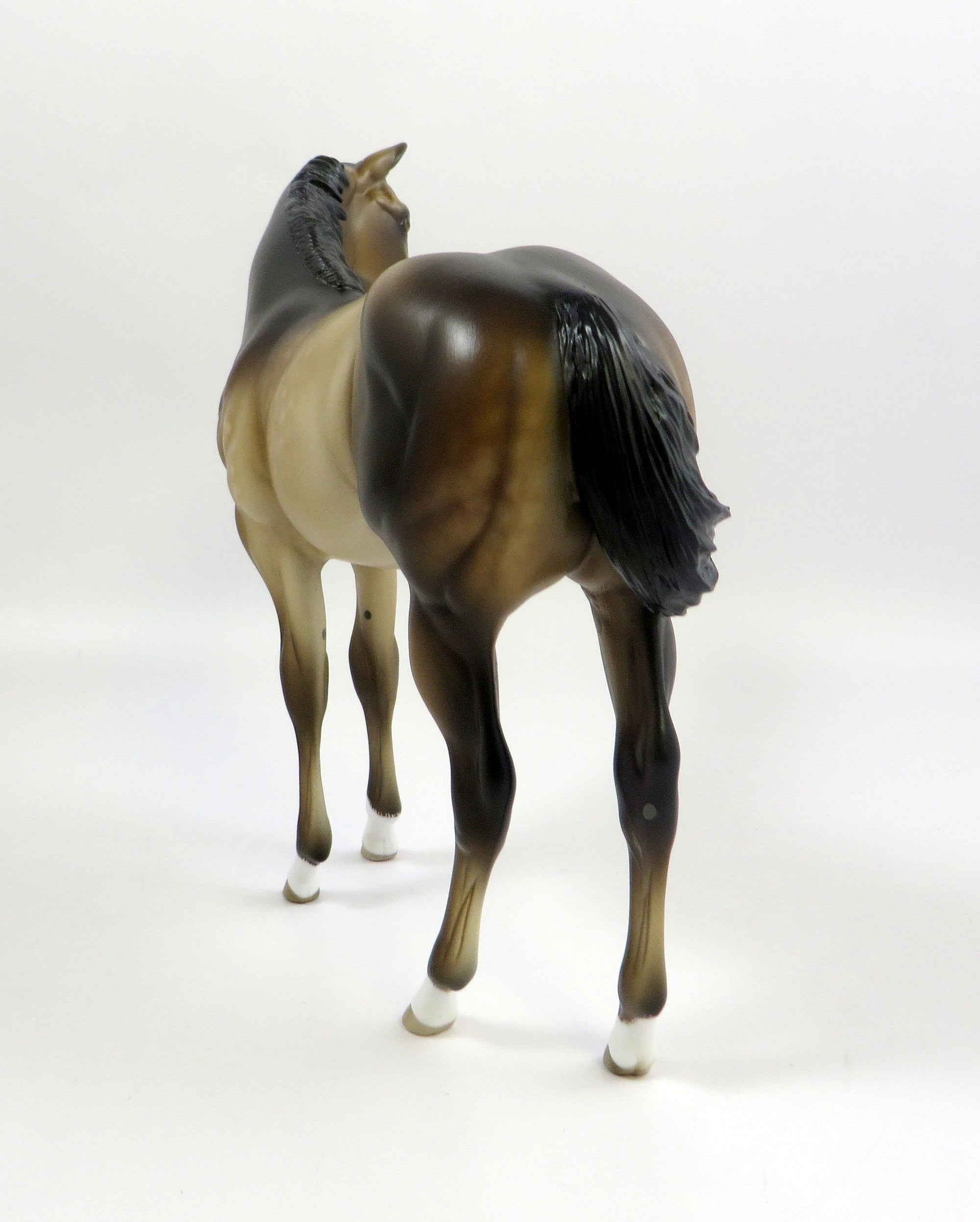 TIFFANY -- OOAK DAPPLED BUCKSKIN WEANLING BY SHERYL LEISURE 6/7/19