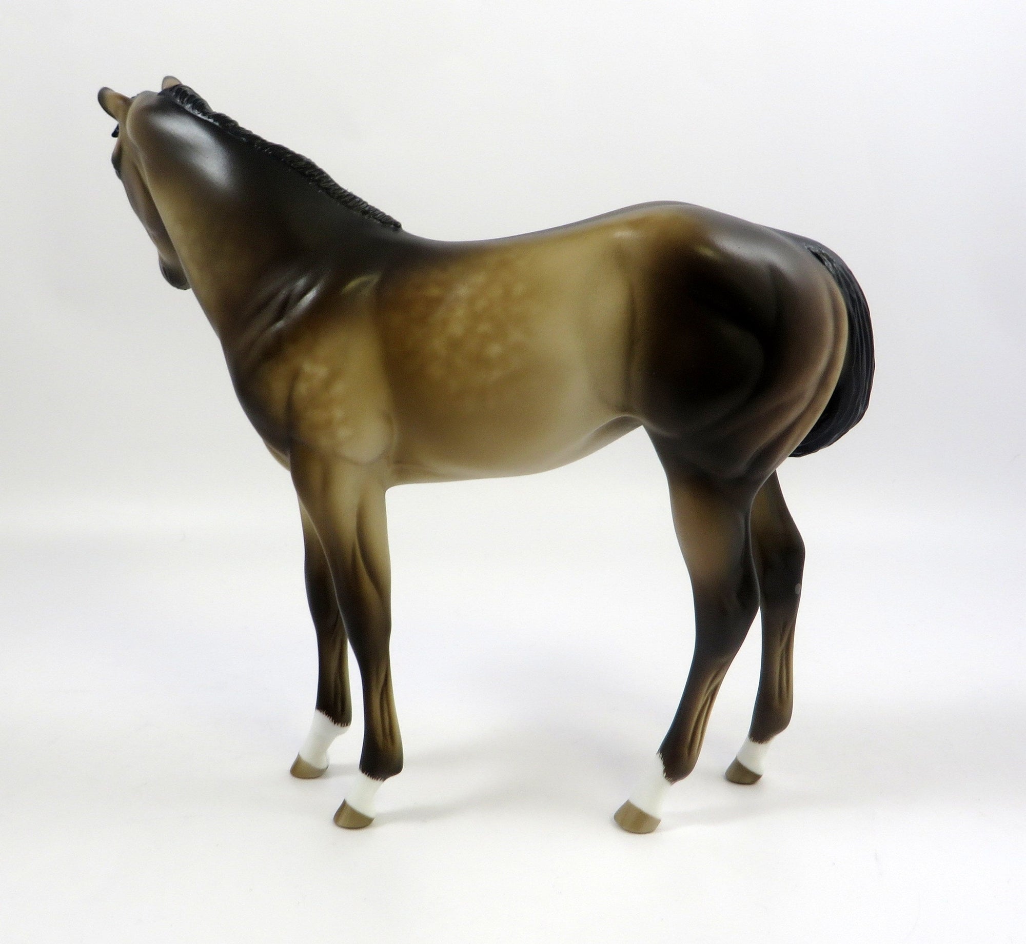 TIFFANY -- OOAK DAPPLED BUCKSKIN WEANLING BY SHERYL LEISURE 6/7/19