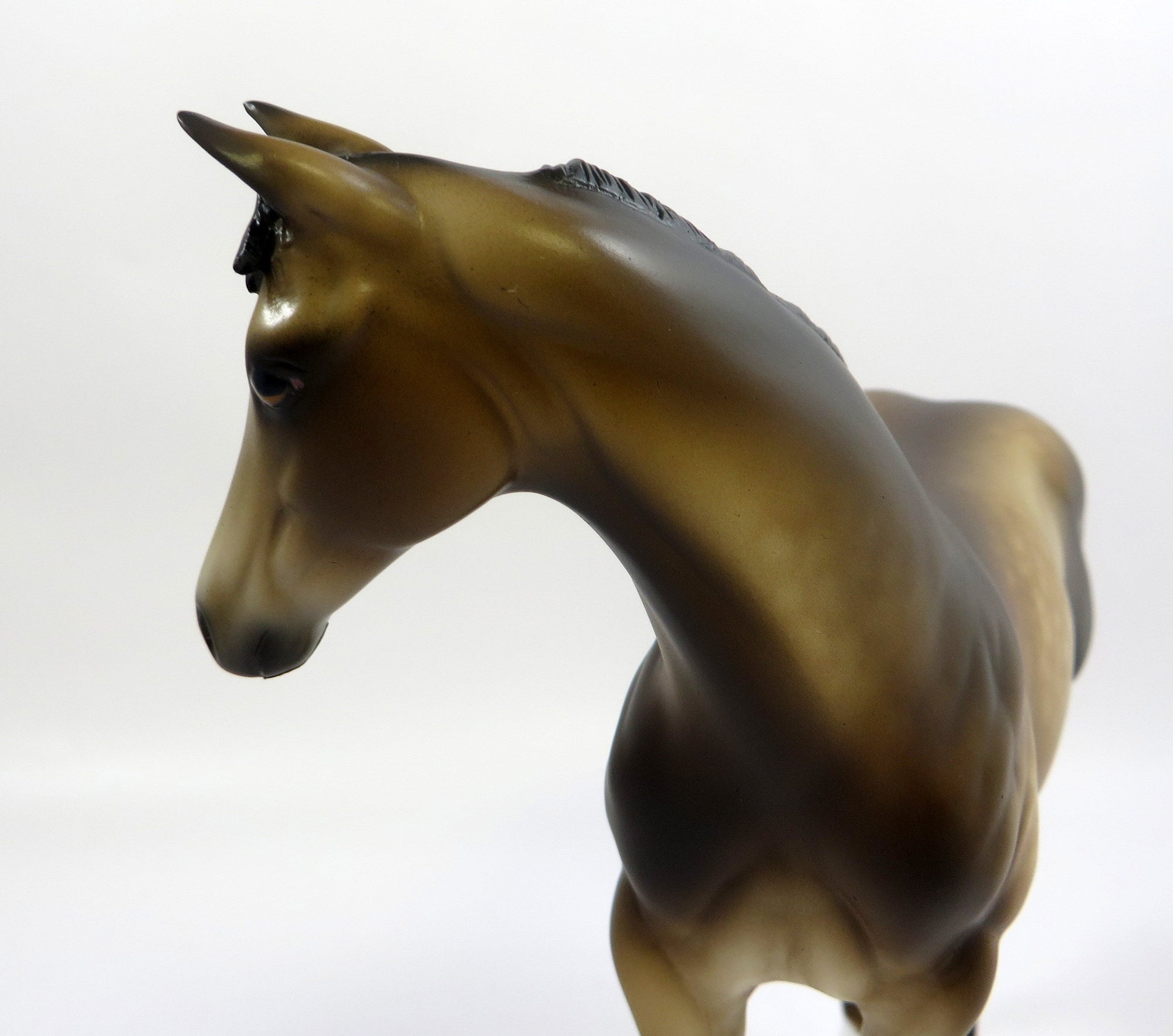 TIFFANY -- OOAK DAPPLED BUCKSKIN WEANLING BY SHERYL LEISURE 6/7/19