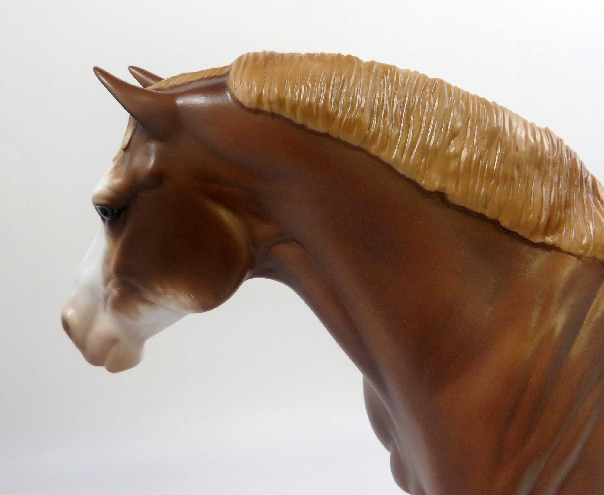 ESTEE -- OOAK CHESTNUT ROAN SABINO HEAVY DRAFT BY SHERYL LEISURE 6/7/19