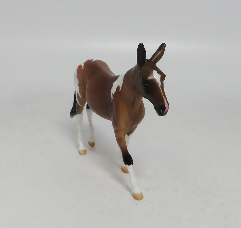 PUSH THE LIMIT- OOAK BAY PAINT MULE CHIP BY AMANDA HOSTETLER 9/21/2018