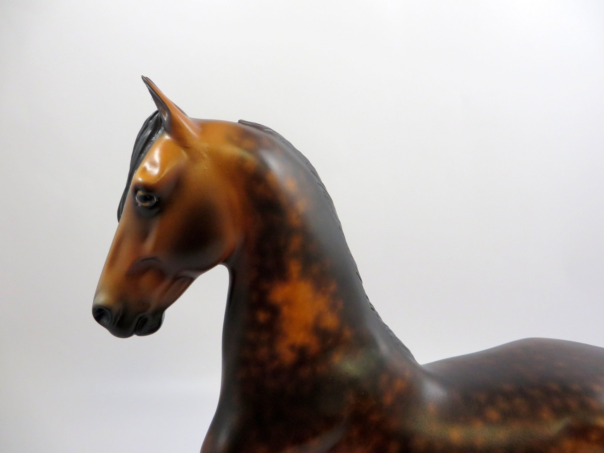 JULES -OOAK DAPPLE BAY SADDLEBRED MODEL HORSE BY SHERYL LEISURE 6/7/19