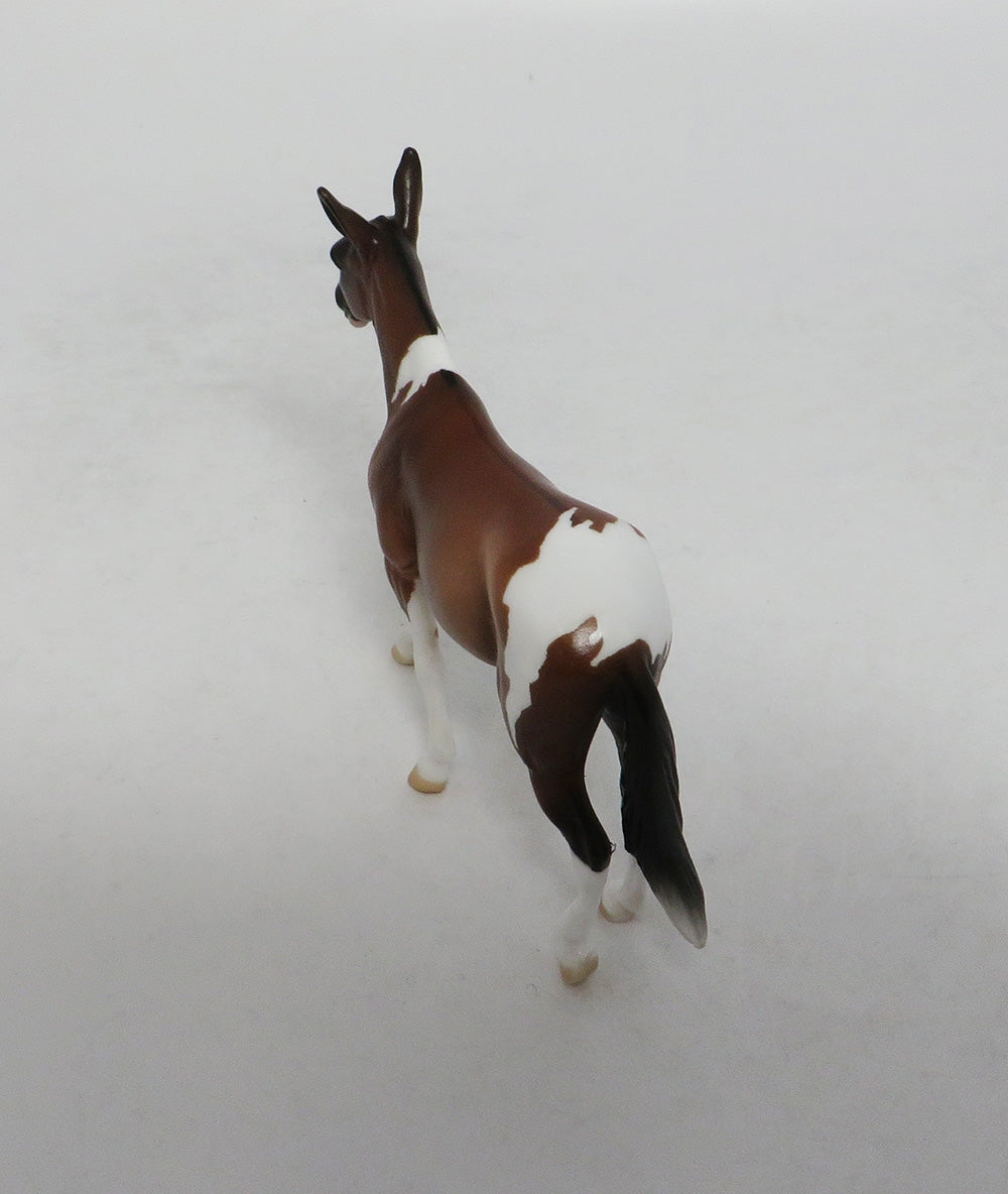 PUSH THE LIMIT- OOAK BAY PAINT MULE CHIP BY AMANDA HOSTETLER 9/21/2018