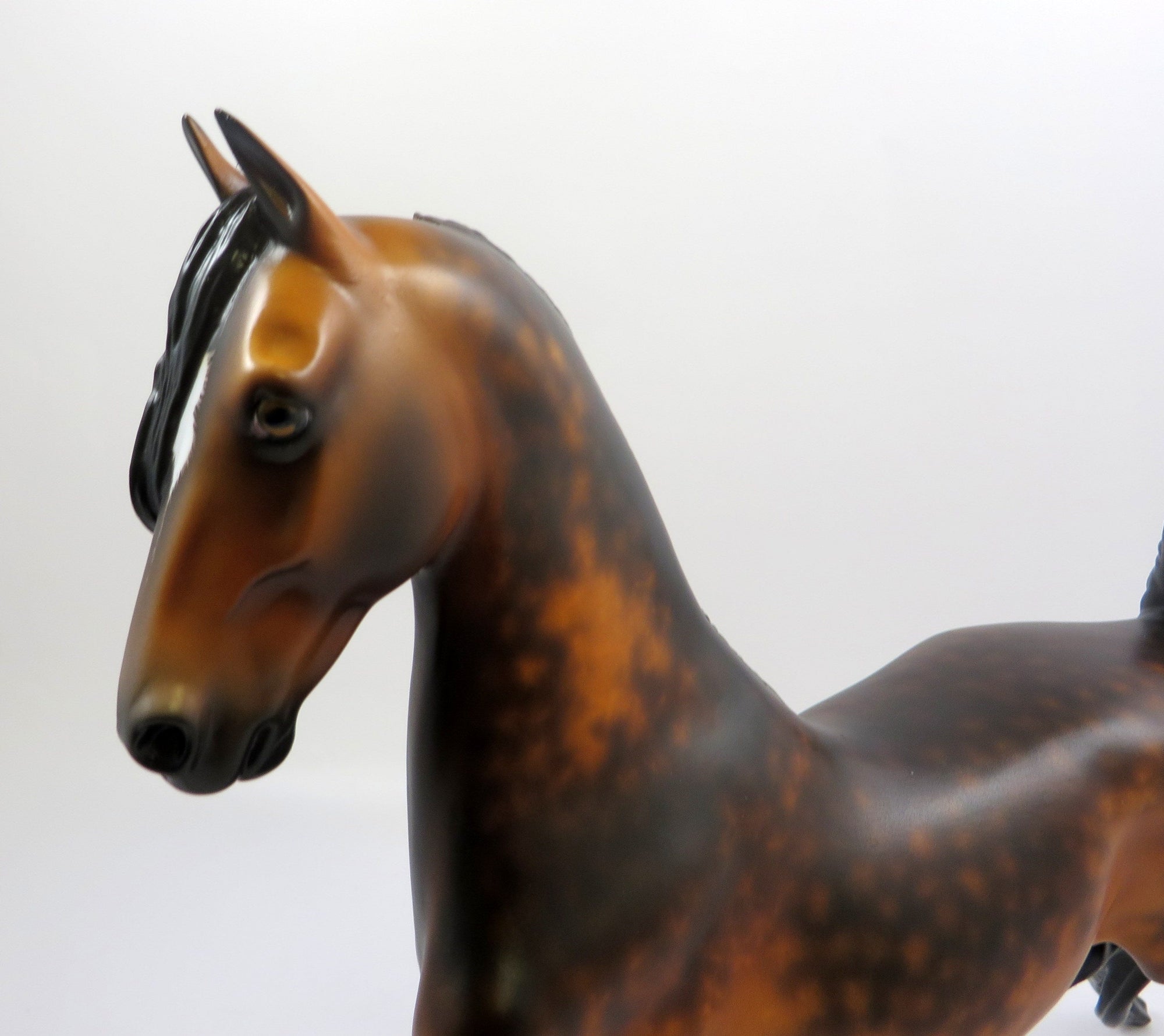 JULES -OOAK DAPPLE BAY SADDLEBRED MODEL HORSE BY SHERYL LEISURE 6/7/19