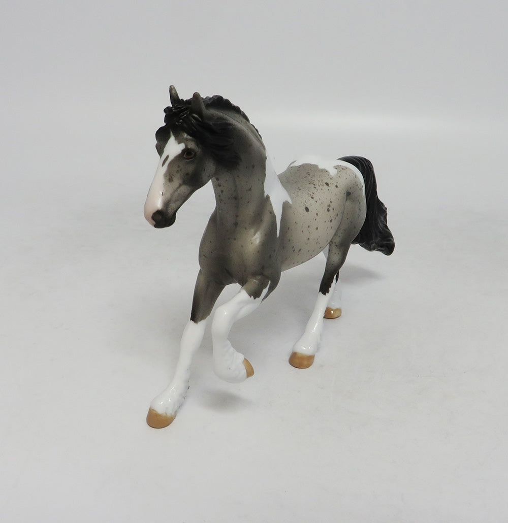 SAILING ALONG - OOAK BLUE ROAN PAINT FRESIAN CHIP 9/20/18