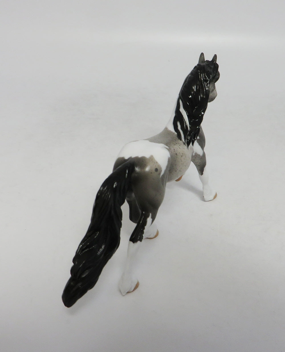 SAILING ALONG - OOAK BLUE ROAN PAINT FRESIAN CHIP 9/20/18