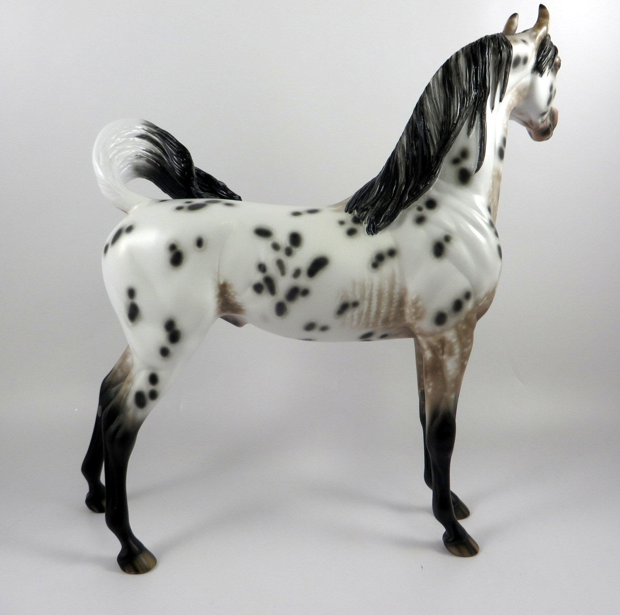 NUTMEG-OOAK LOUD BAY APPALOOSA CM ARABIAN MODEL HORSE BY SHERYL LEISURE MM19