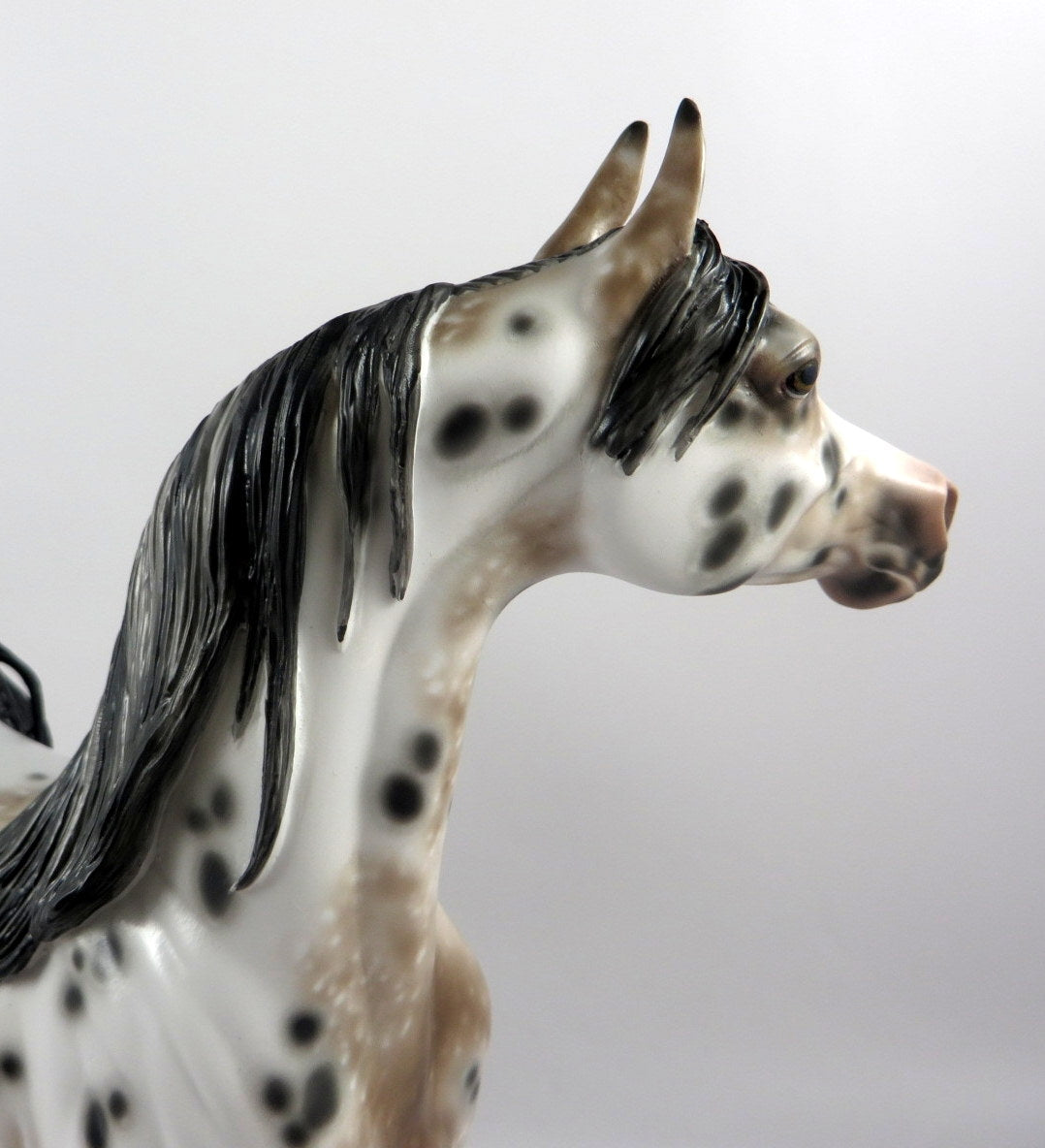 NUTMEG-OOAK LOUD BAY APPALOOSA CM ARABIAN MODEL HORSE BY SHERYL LEISURE MM19