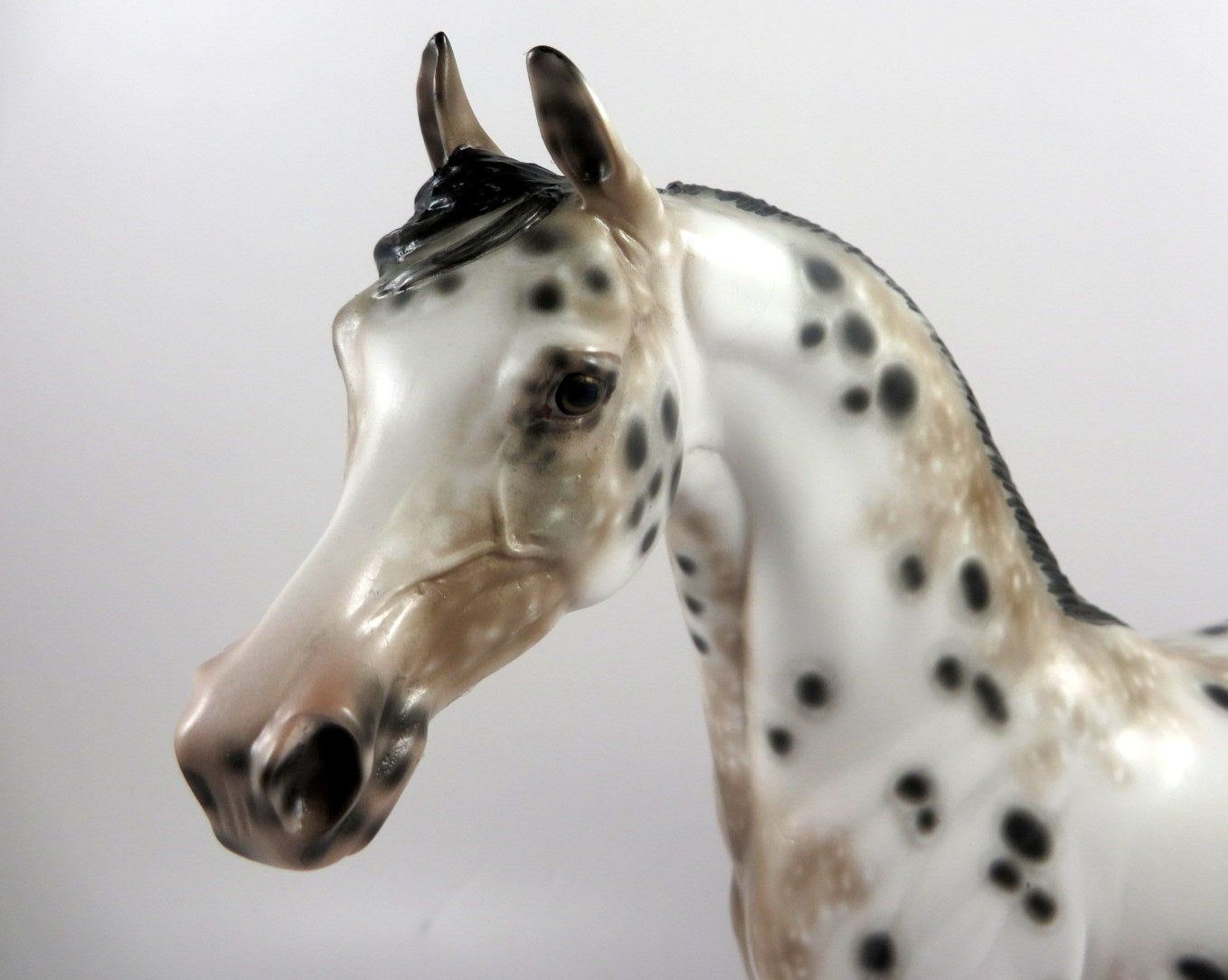 NUTMEG-OOAK LOUD BAY APPALOOSA CM ARABIAN MODEL HORSE BY SHERYL LEISURE MM19