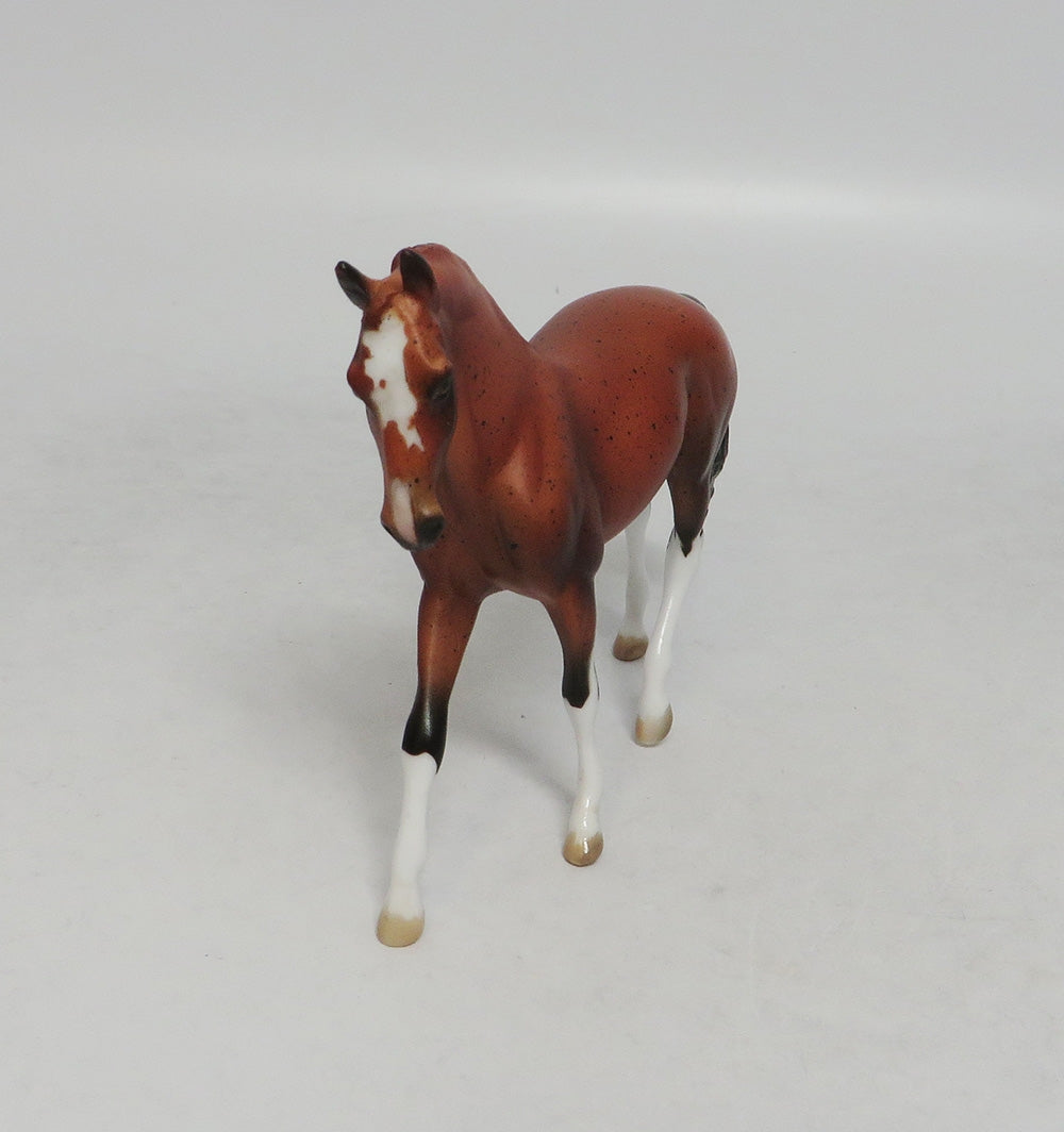 REAL COUNTRY- OOAK BAY APPALOOSA WARMBLOOD CHIP 9/20/18