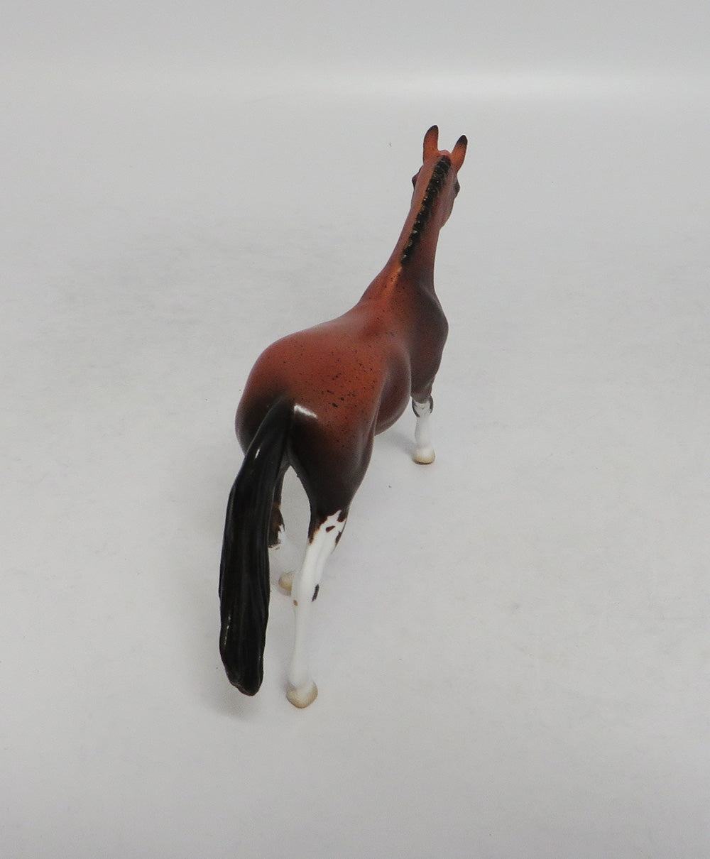 REAL COUNTRY- OOAK BAY APPALOOSA WARMBLOOD CHIP 9/20/18