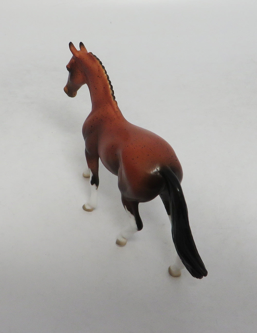 REAL COUNTRY- OOAK BAY APPALOOSA WARMBLOOD CHIP 9/20/18