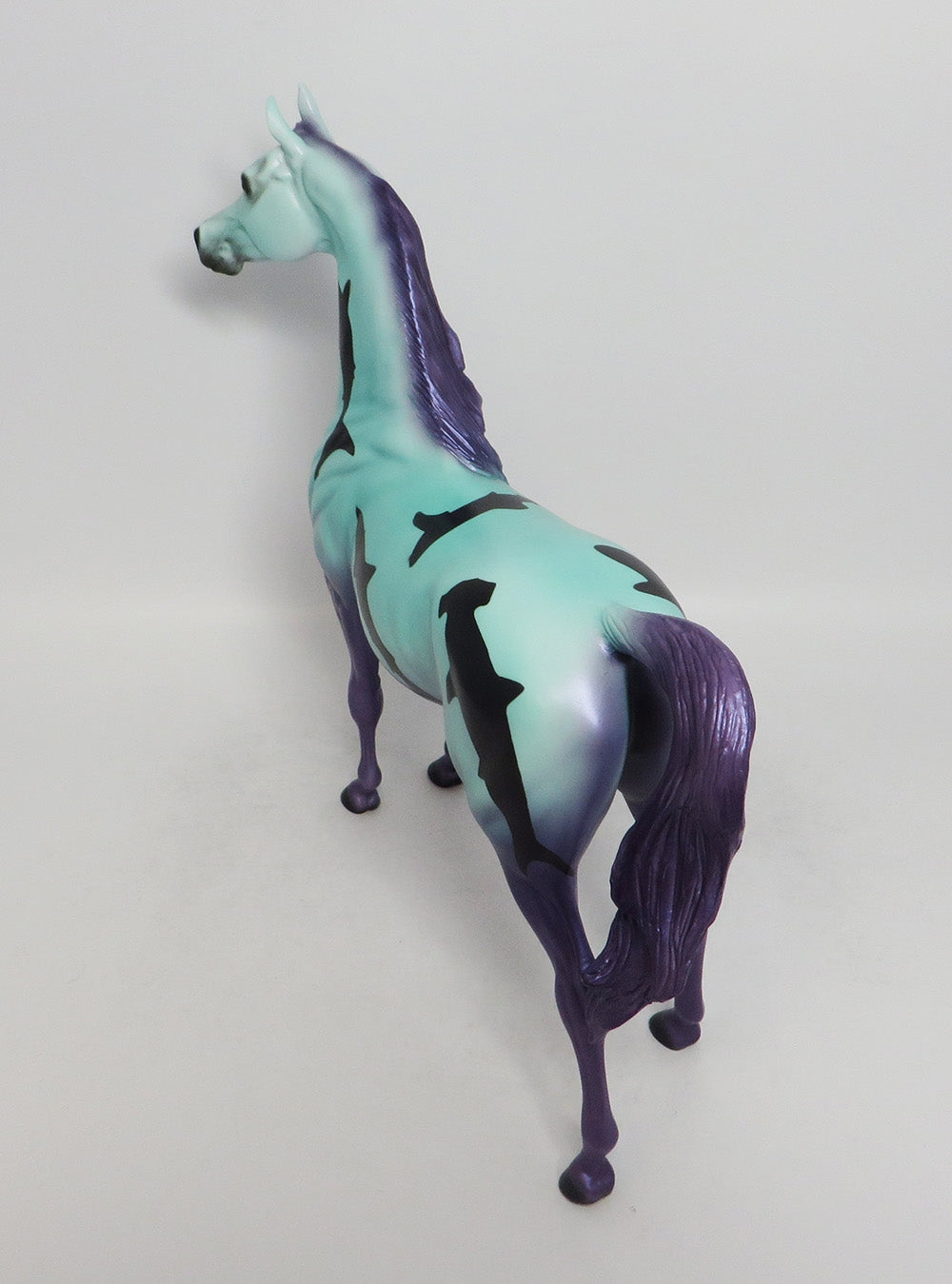 SHARK BAIT-PURPLE-OOAK- ARABIAN SHARK DECORATOR SW 2018