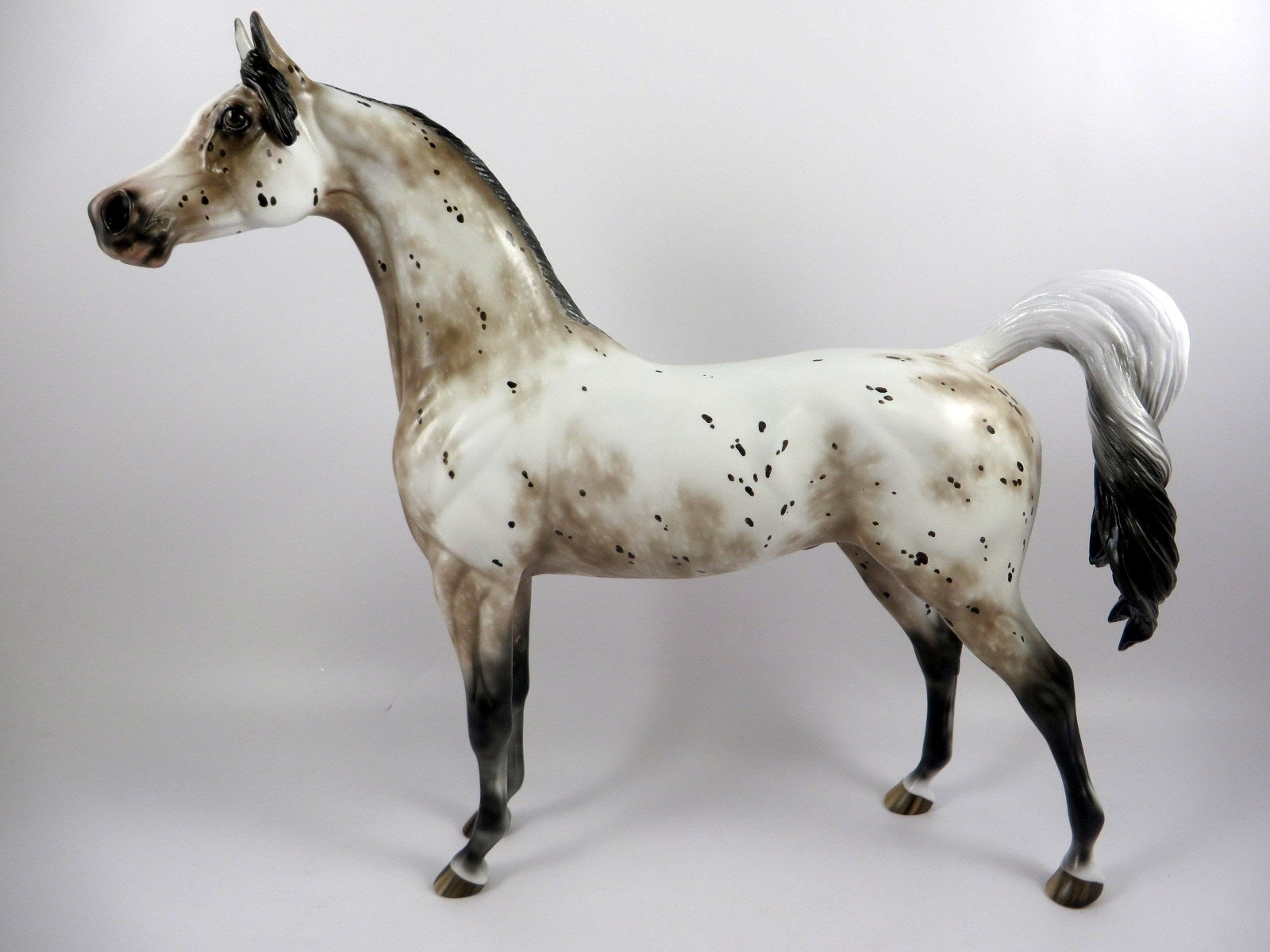 HICKORY-OOAK BAY LEOPARD ARABIAN BY SHERYL LEISURE MM19