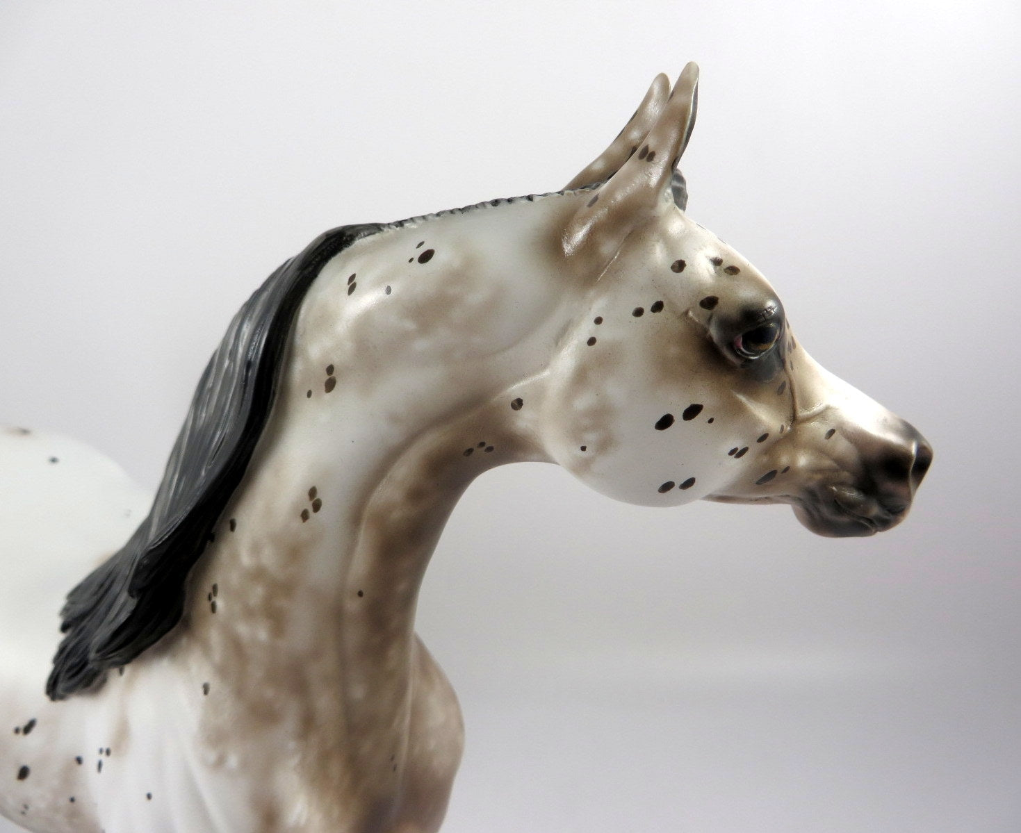 HICKORY-OOAK BAY LEOPARD ARABIAN BY SHERYL LEISURE MM19