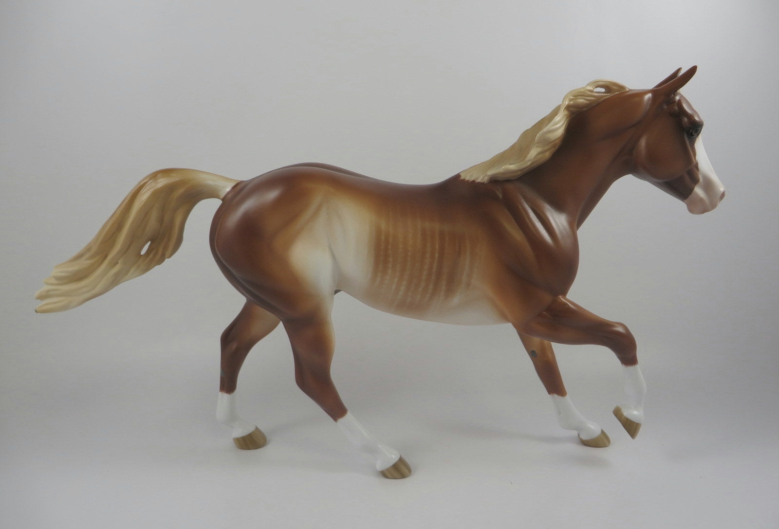 TAWNY- OOAK CHESTNET RABICANO FQH BY SHERLY LEISURE MM19