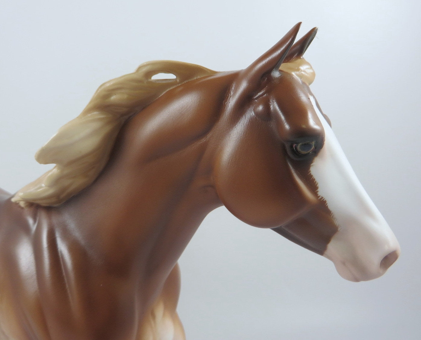 TAWNY- OOAK CHESTNET RABICANO FQH BY SHERLY LEISURE MM19