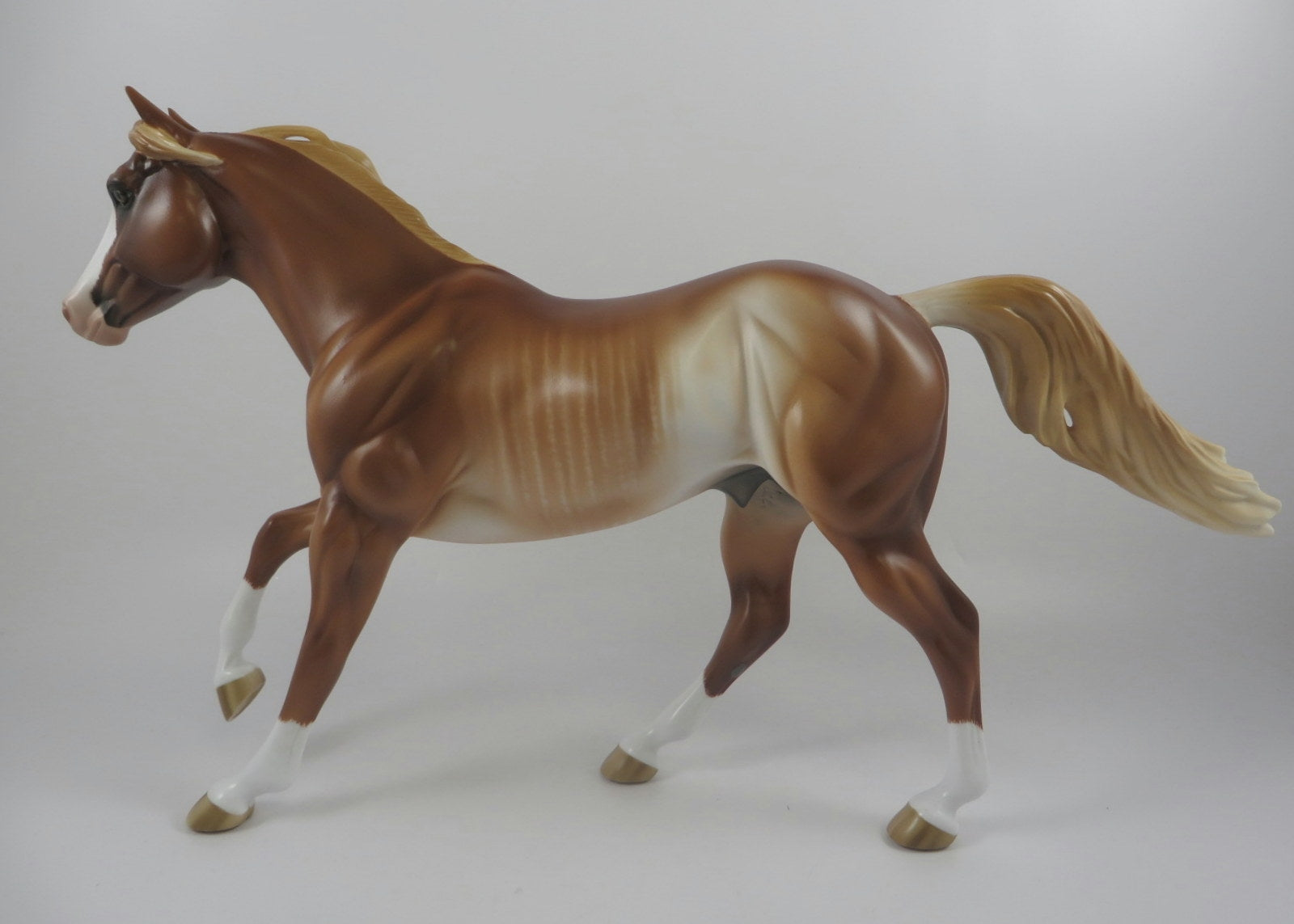 TAWNY- OOAK CHESTNET RABICANO FQH BY SHERLY LEISURE MM19