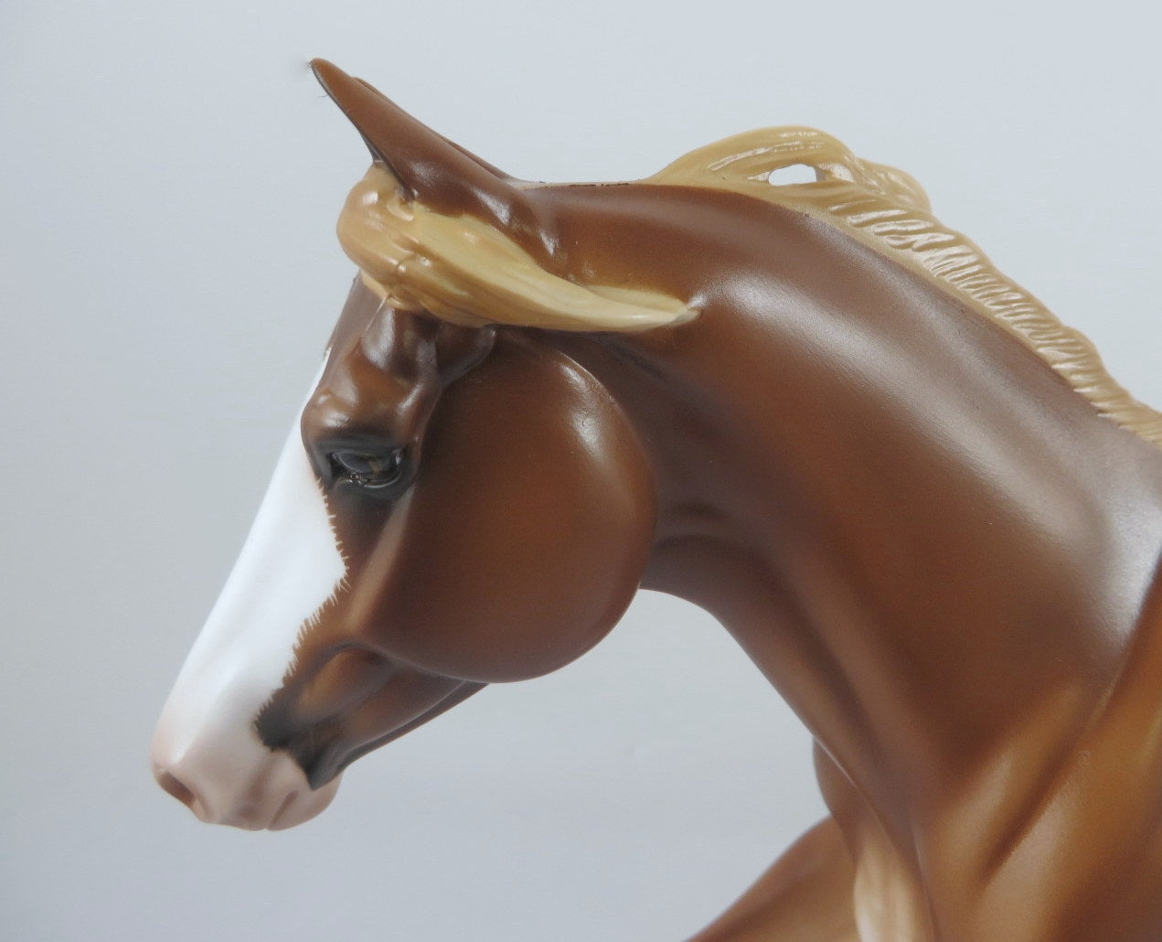 TAWNY- OOAK CHESTNET RABICANO FQH BY SHERLY LEISURE MM19