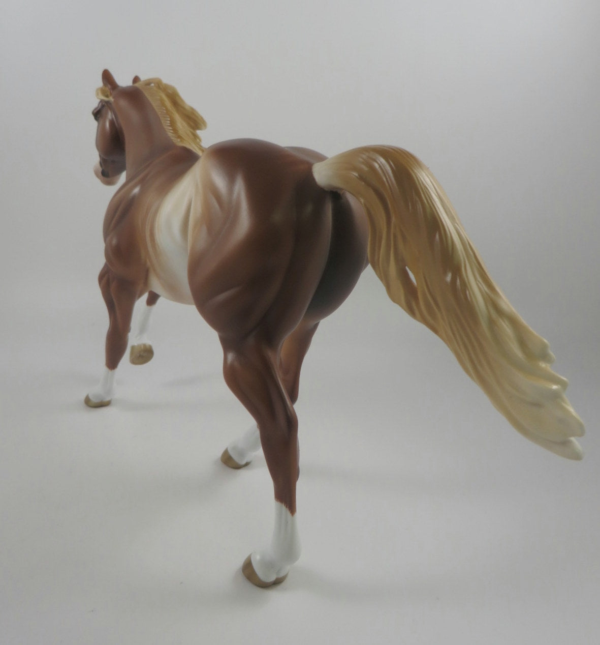 TAWNY- OOAK CHESTNET RABICANO FQH BY SHERLY LEISURE MM19