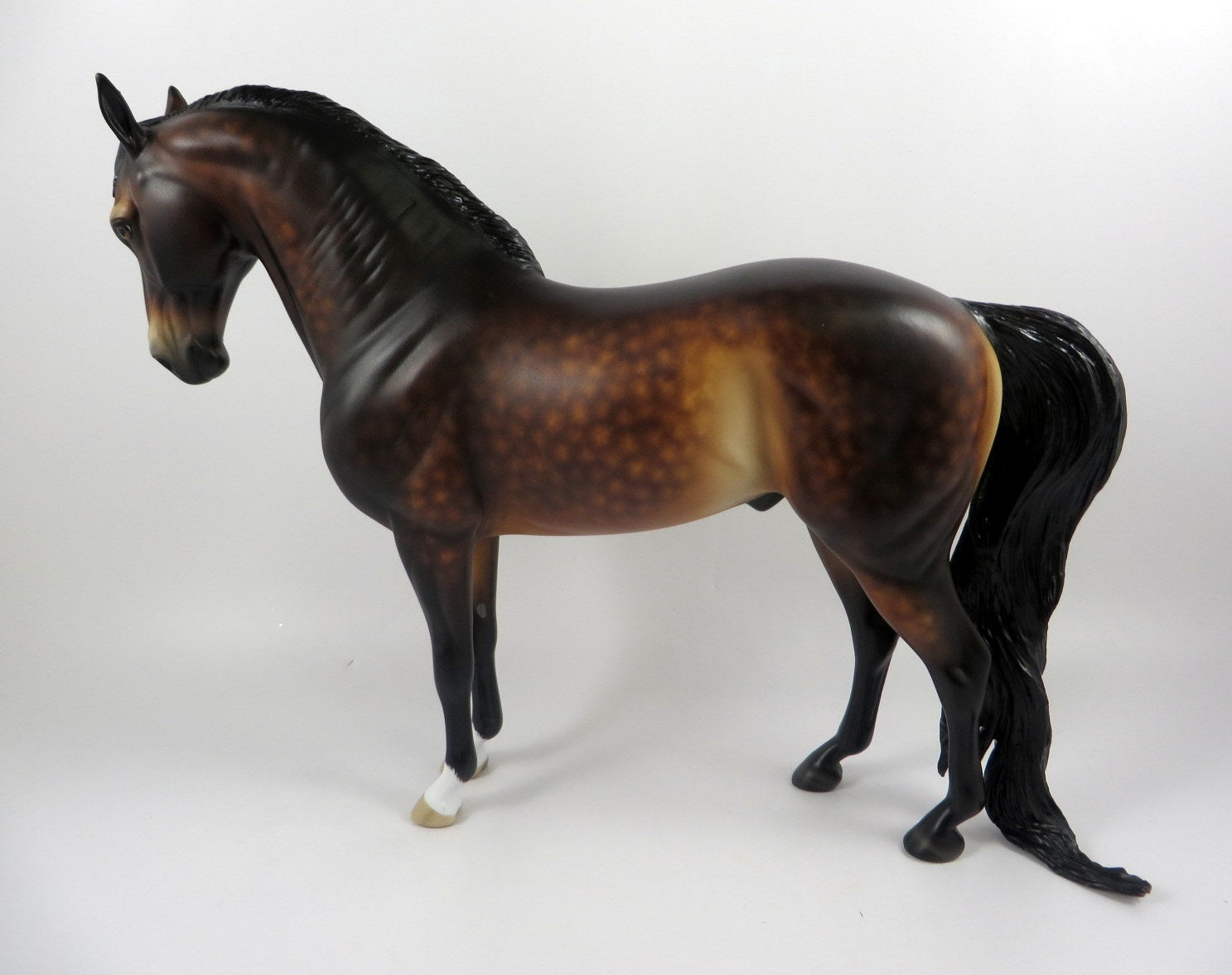RUDDY-OOAK DAPPLE BAY ANDALUSIAN BY SHERYL LEISURE MM 19