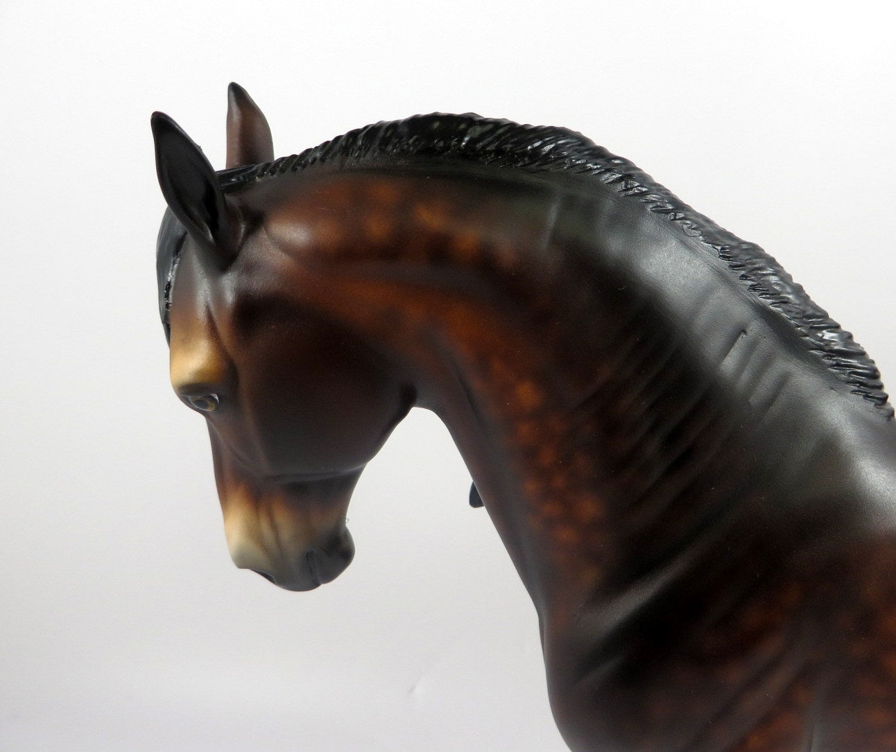 RUDDY-OOAK DAPPLE BAY ANDALUSIAN BY SHERYL LEISURE MM 19