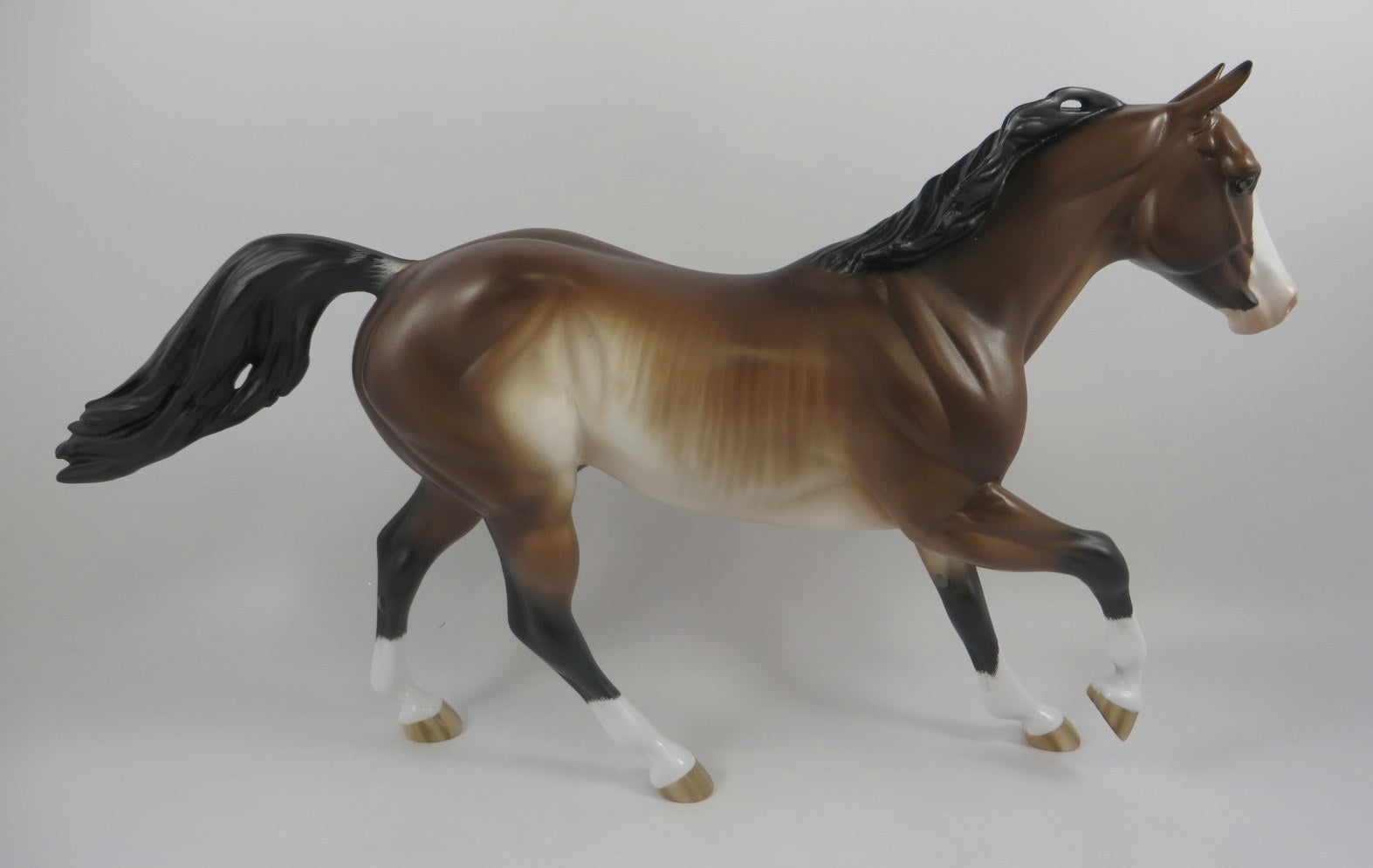 COCOA-OOAK BAY RABICANO FQH BY SHERYL LEISURE MM19