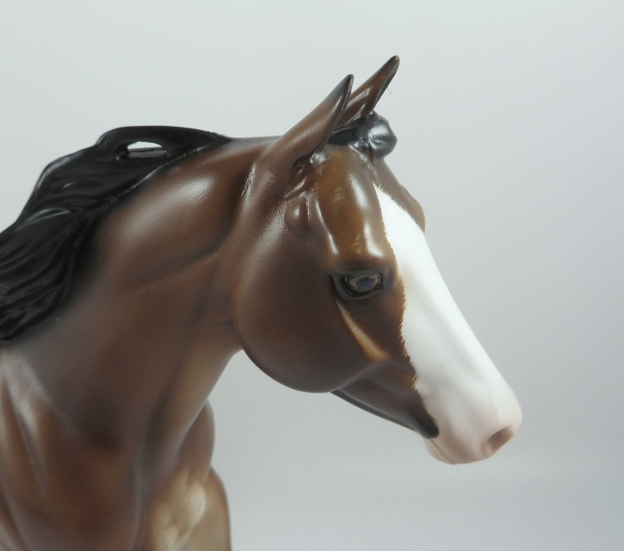 COCOA-OOAK BAY RABICANO FQH BY SHERYL LEISURE MM19