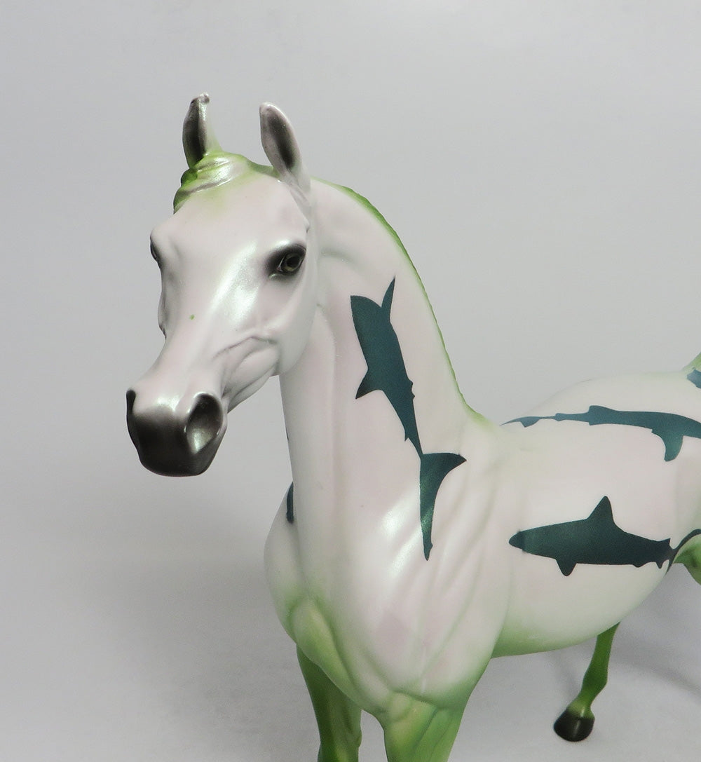 SHARK BAIT-GREEN ARABIAN SHARK DECORATOR SW 2018