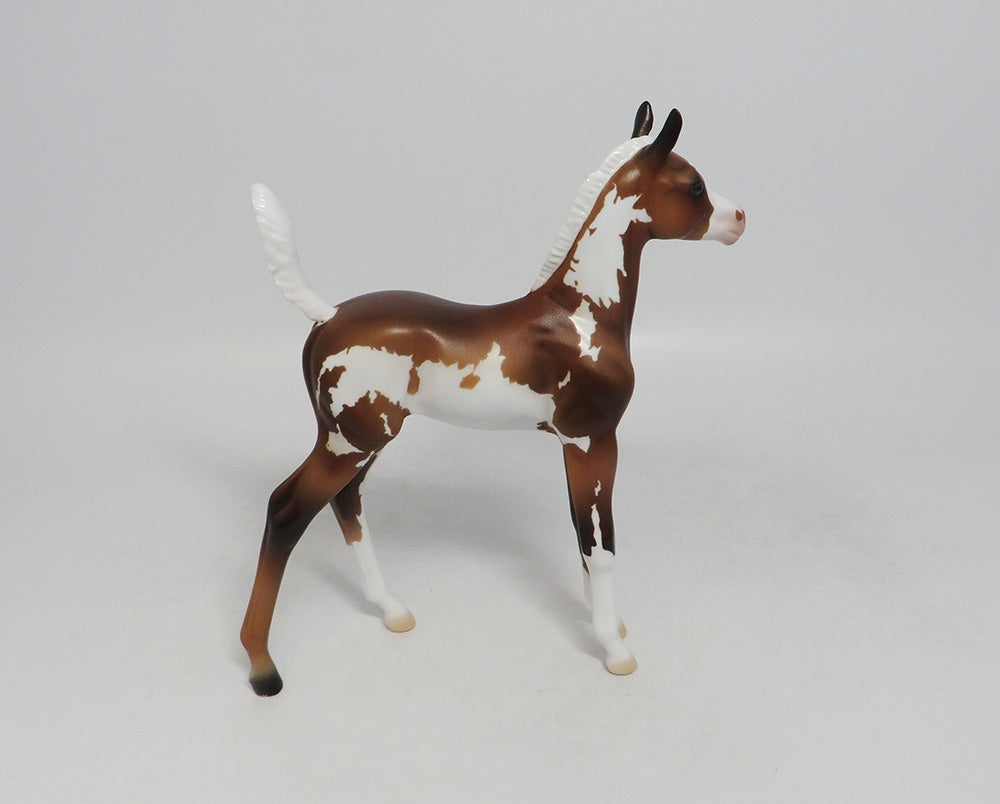 LOVE POTION- LE-6- SOOTY PALIMINO PINTO ARABIAN FOAL 9/21/2018