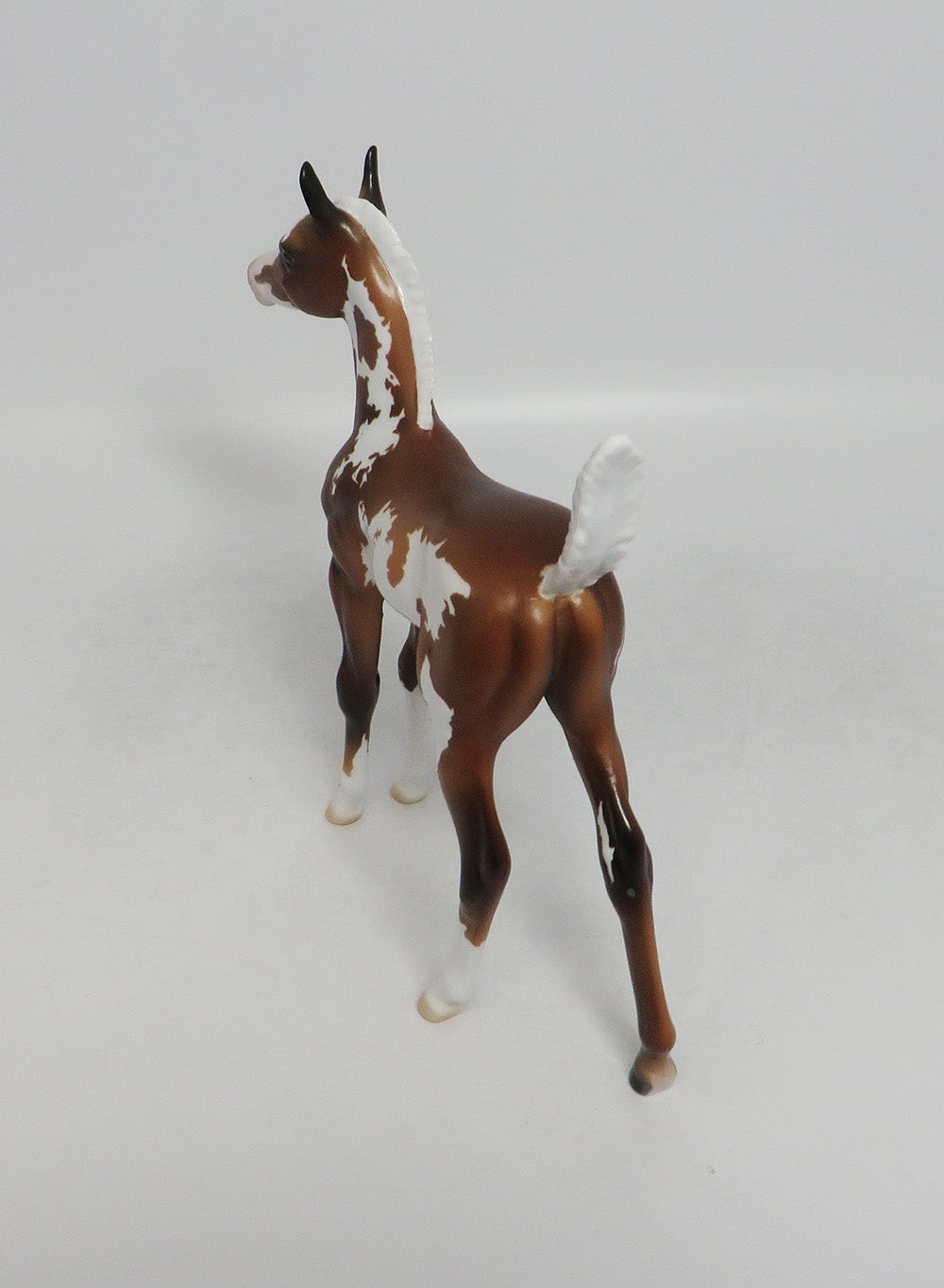 LOVE POTION- LE-6- SOOTY PALIMINO PINTO ARABIAN FOAL 9/21/2018