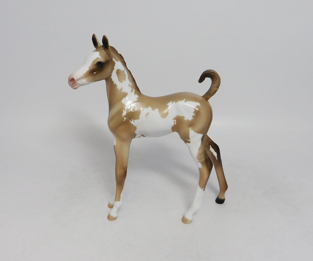 INDIANA JOAN- OOAK CUSTOM DUNALINO PINTO ARABIAN FOAL 9/21/2018