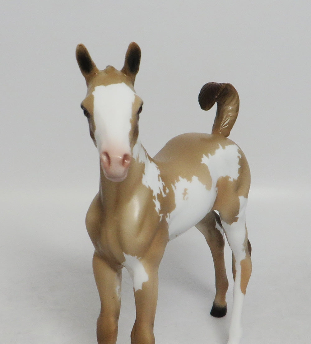 INDIANA JOAN- OOAK CUSTOM DUNALINO PINTO ARABIAN FOAL 9/21/2018