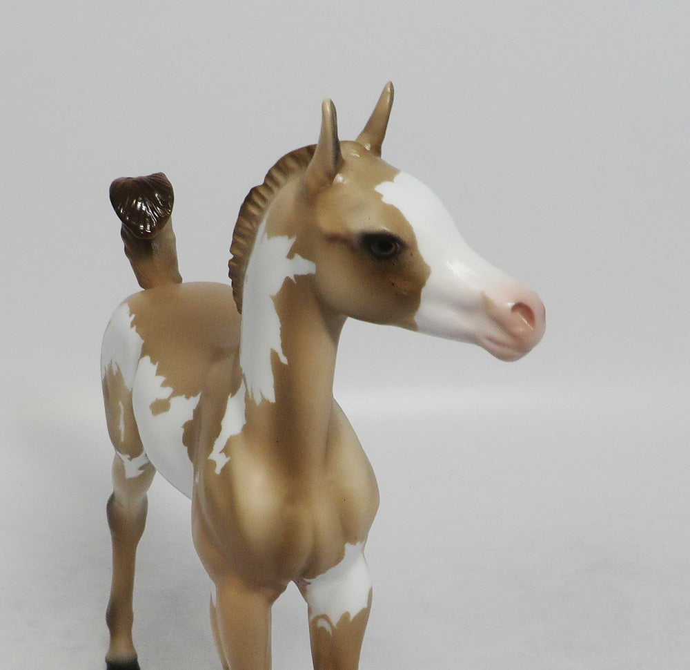 INDIANA JOAN- OOAK CUSTOM DUNALINO PINTO ARABIAN FOAL 9/21/2018
