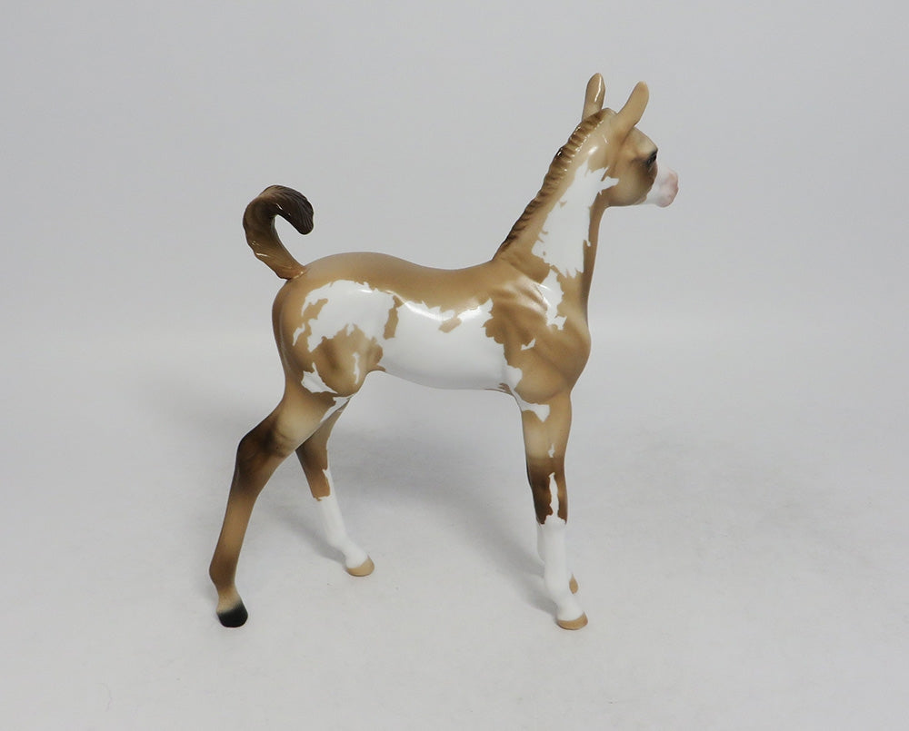 INDIANA JOAN- OOAK CUSTOM DUNALINO PINTO ARABIAN FOAL 9/21/2018