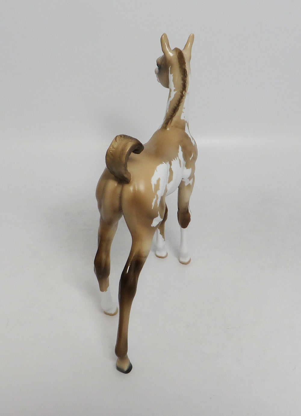 INDIANA JOAN- OOAK CUSTOM DUNALINO PINTO ARABIAN FOAL 9/21/2018