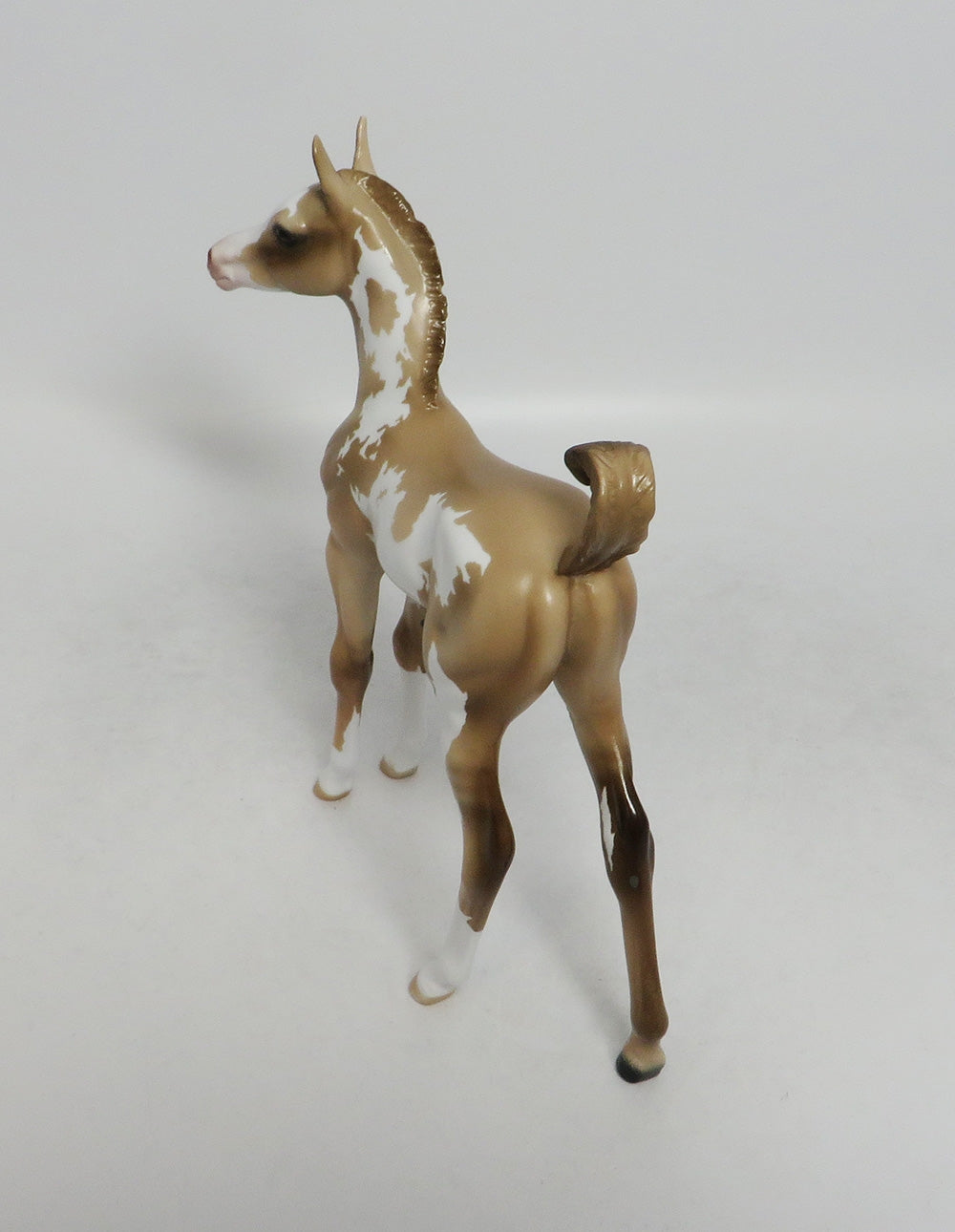 INDIANA JOAN- OOAK CUSTOM DUNALINO PINTO ARABIAN FOAL 9/21/2018
