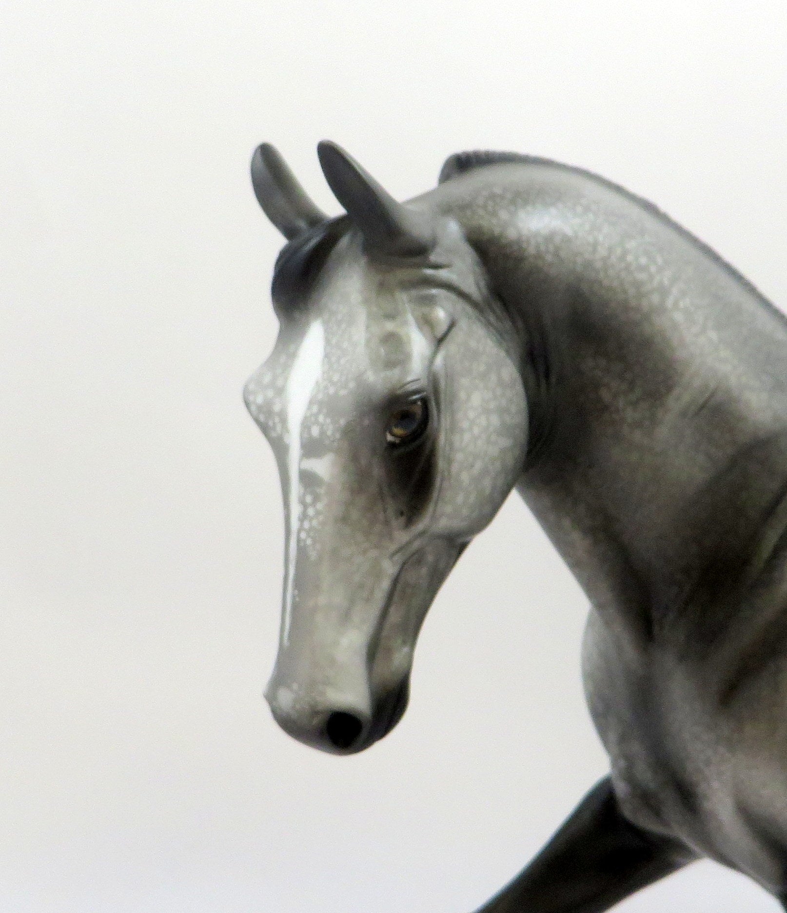 BLUE MOON SURPRISE-OOAK BLUE ROAN TENNESSEE WALKER MODEL HORSE BY AL 6/13/19