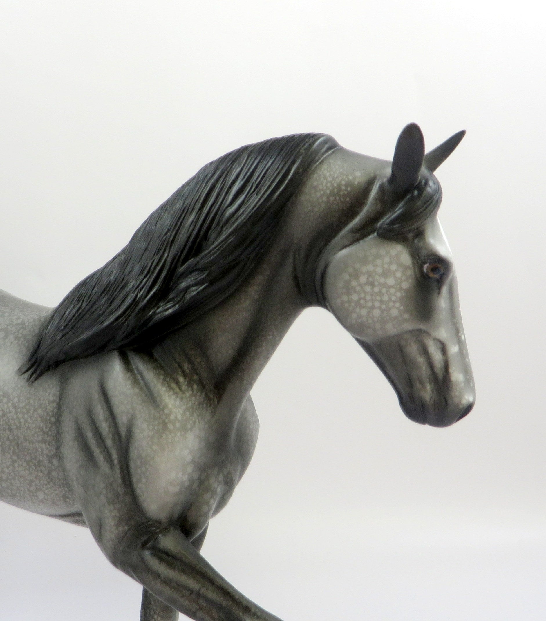 BLUE MOON SURPRISE-OOAK BLUE ROAN TENNESSEE WALKER MODEL HORSE BY AL 6/13/19