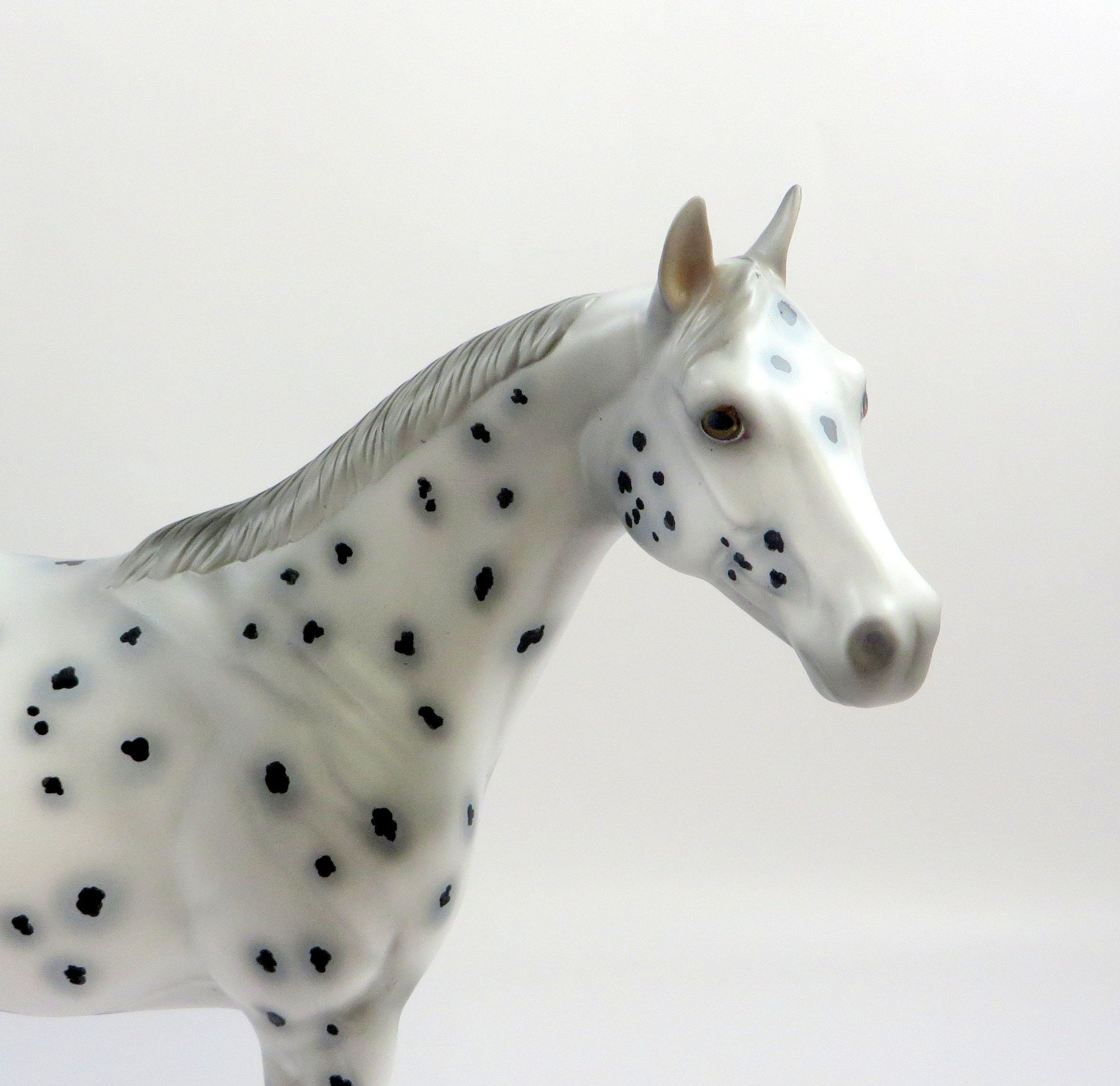 CHANCES ARE-OOAK LEOPARD APPALOOSA ISH MODEL HORSE 6/13/19