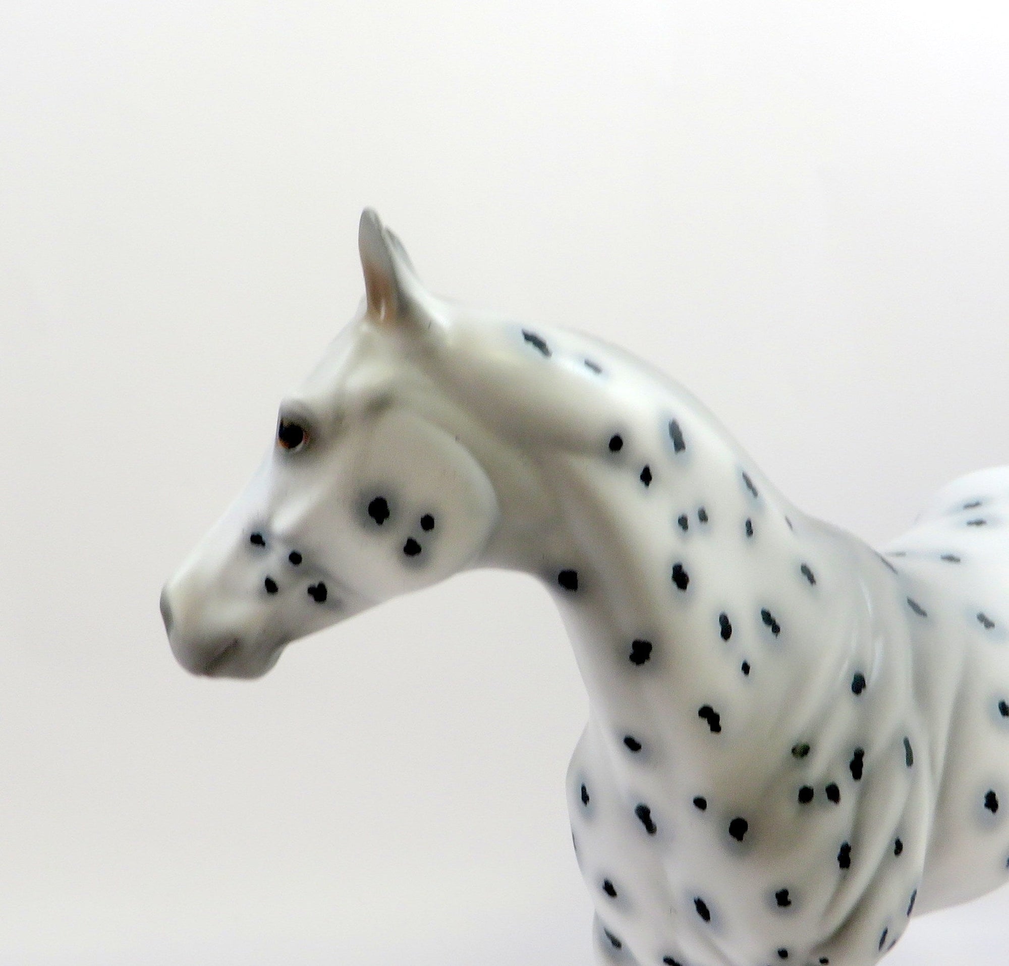 CHANCES ARE-OOAK LEOPARD APPALOOSA ISH MODEL HORSE 6/13/19