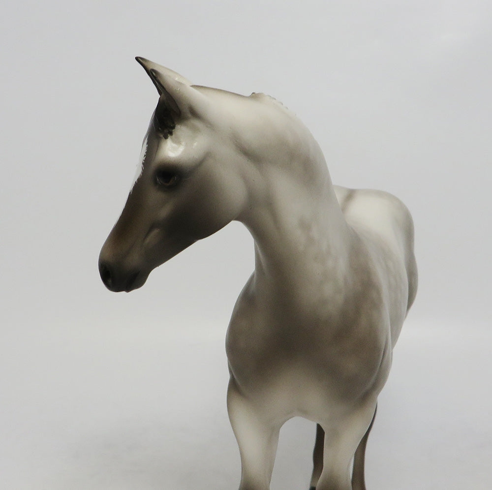 DUSKY-OOAK DAPPLE GRULLA WEANLING MODEL BY SHERYL LEISURE 9/21/18