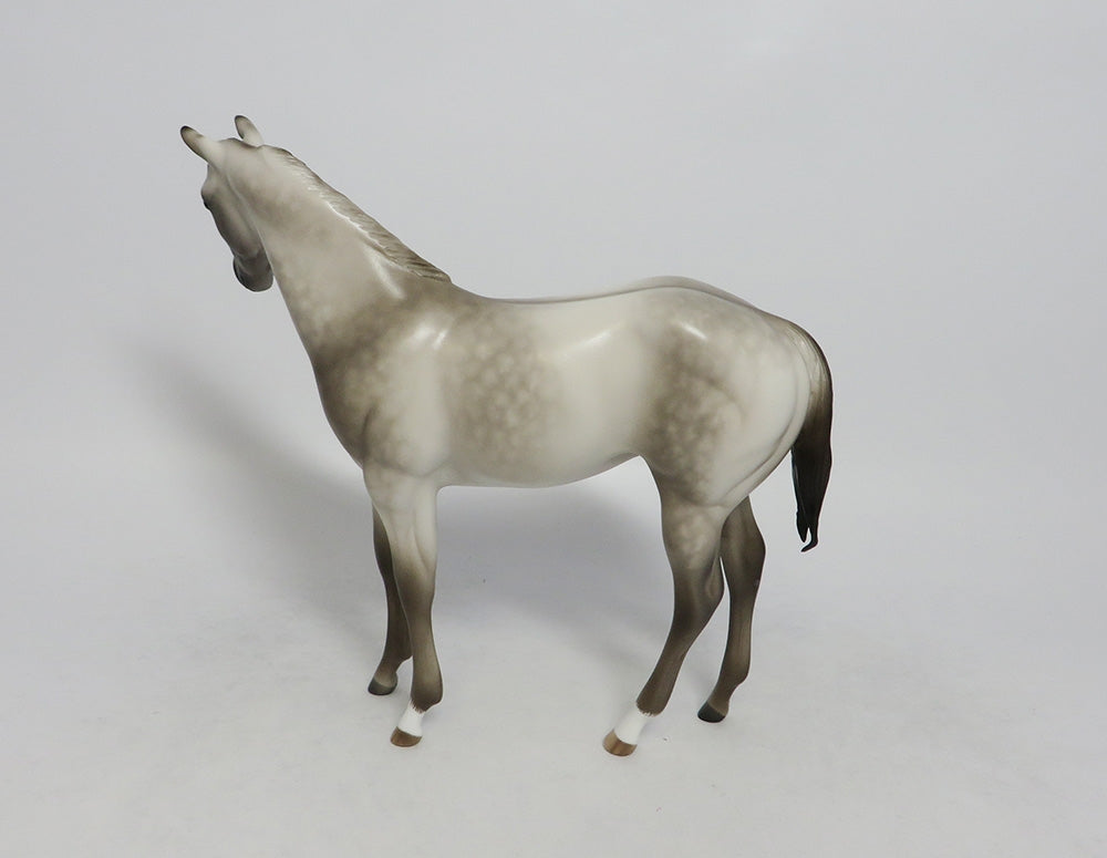 DUSKY-OOAK DAPPLE GRULLA WEANLING MODEL BY SHERYL LEISURE 9/21/18