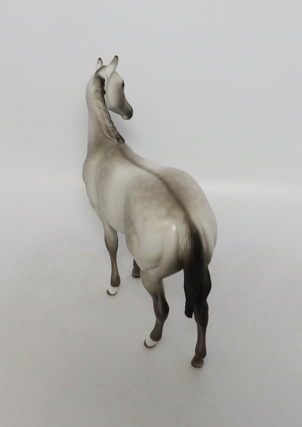 DUSKY-OOAK DAPPLE GRULLA WEANLING MODEL BY SHERYL LEISURE 9/21/18