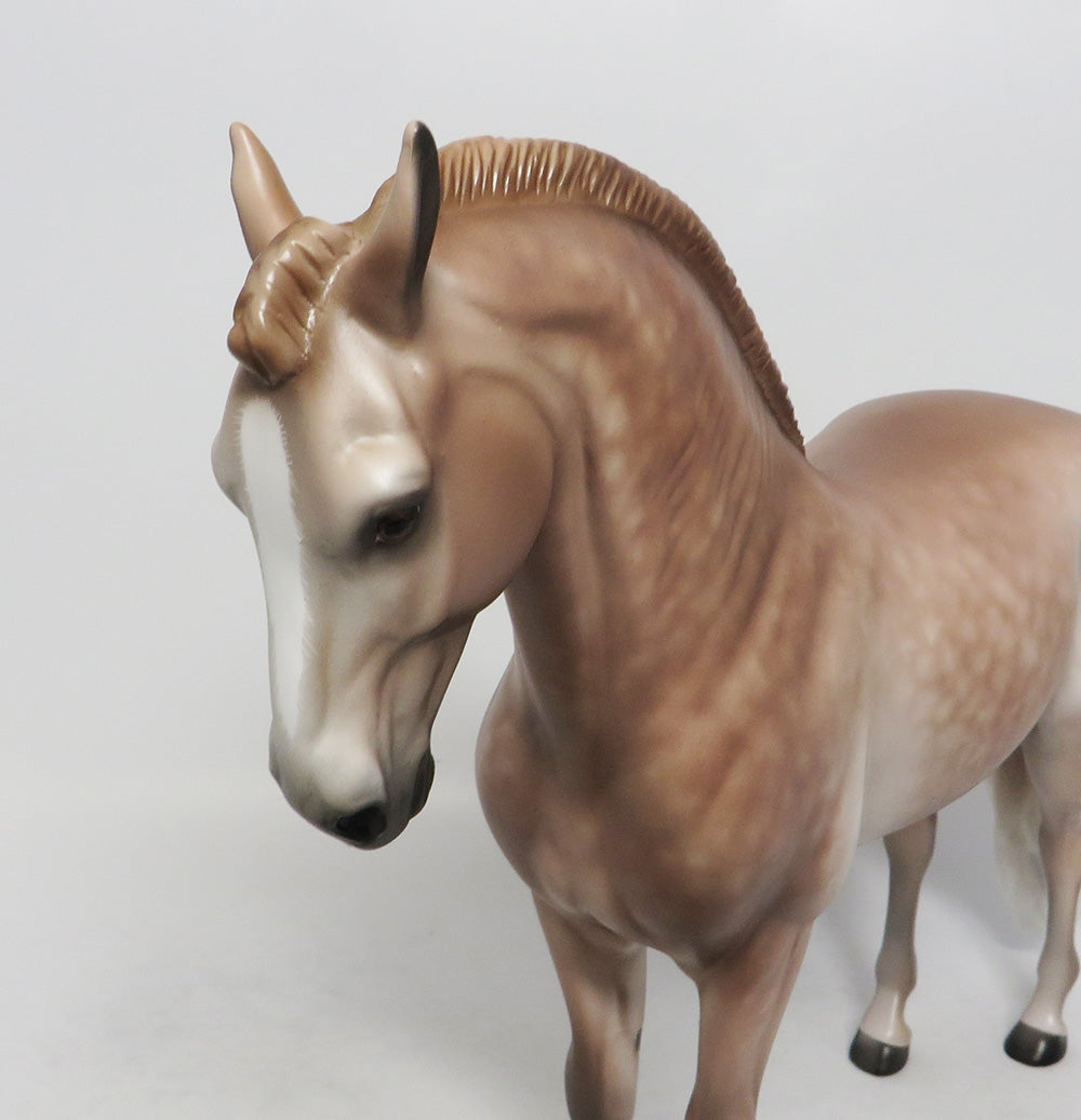 SAND TIGER-OOAK LIGHT DAPPLE ROSE GREY ANDALUSIAN BY SHERYL LEISURE 9/21/18