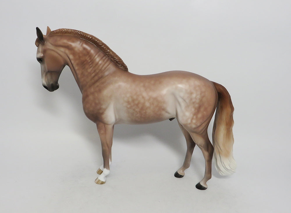 SAND TIGER-OOAK LIGHT DAPPLE ROSE GREY ANDALUSIAN BY SHERYL LEISURE 9/21/18