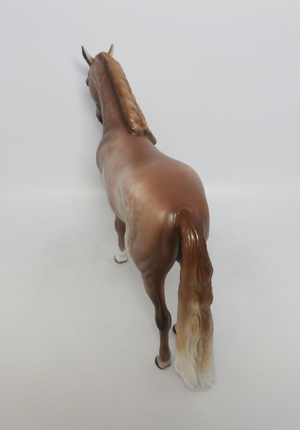 SAND TIGER-OOAK LIGHT DAPPLE ROSE GREY ANDALUSIAN BY SHERYL LEISURE 9/21/18