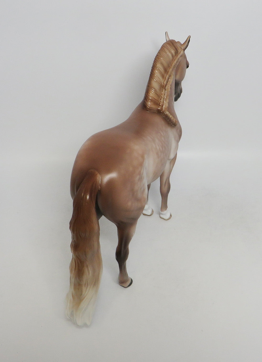 SAND TIGER-OOAK LIGHT DAPPLE ROSE GREY ANDALUSIAN BY SHERYL LEISURE 9/21/18